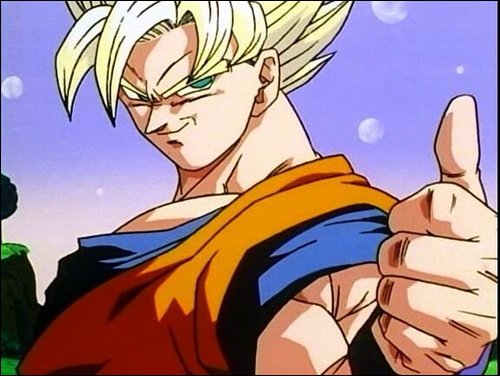Goku_Approves